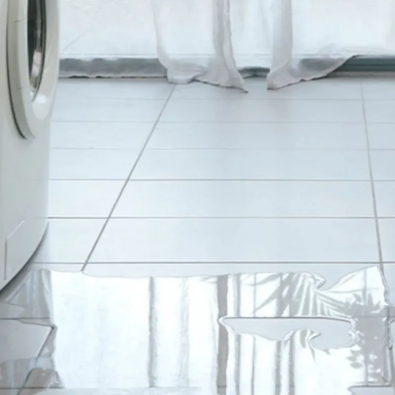 Appliance Leak Cleanup in Edna, TX