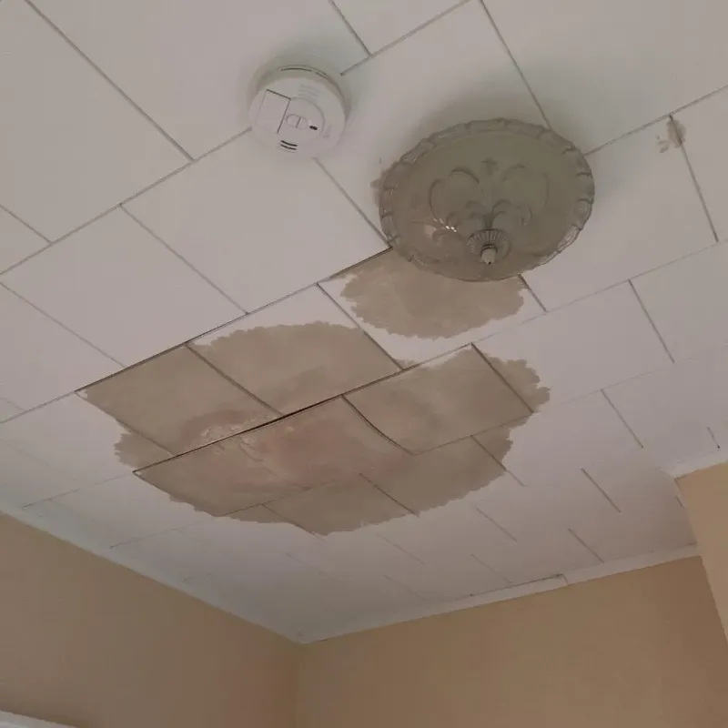Ceiling Water Damage Repair in Edna, TX