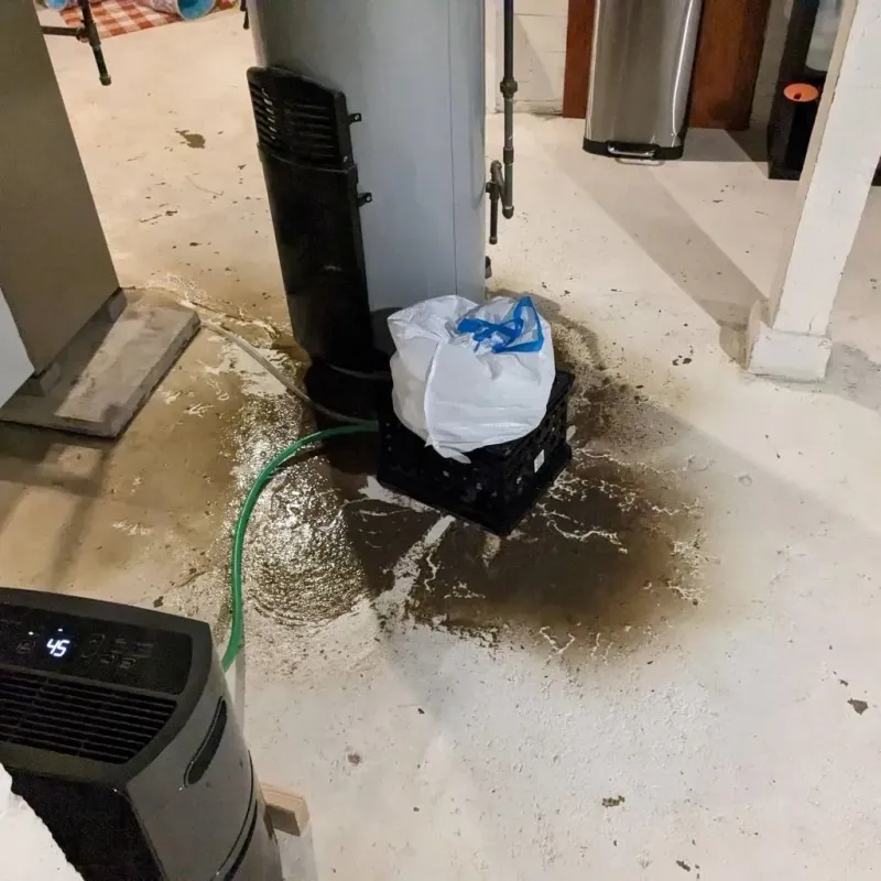 Sewage Backup Cleanup Service in Edna, TX
